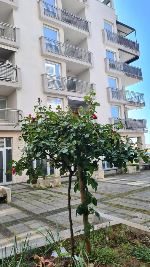 Apartment Mia Milija リエカ エクステリア 写真